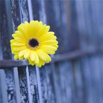 博鱼中国官网下载入口